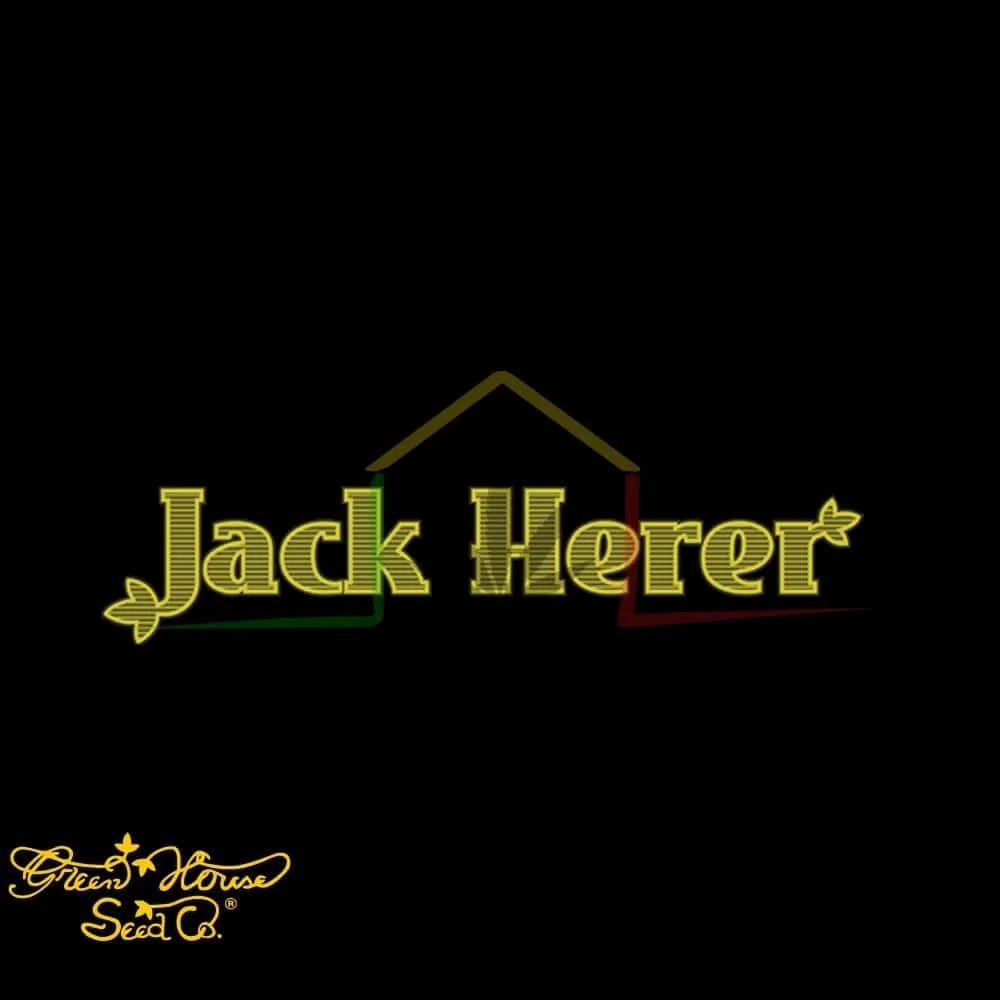 JACK HERER - Imagen 3