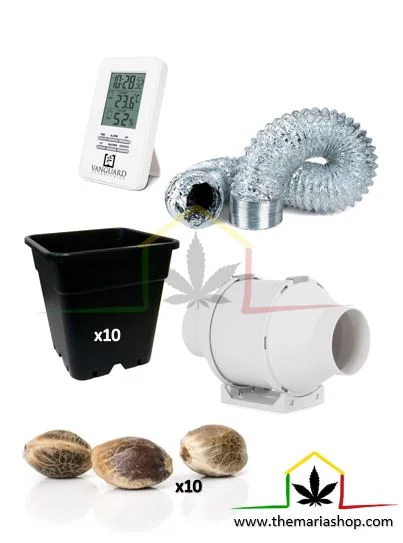 KIT DE CULTIVO BÁSICO 600W 120x120x200 - Imagen 4