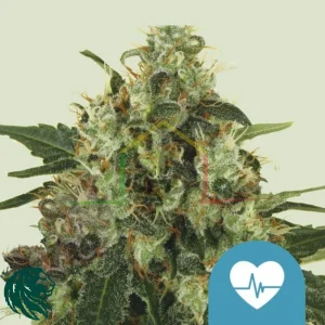 MEDICAL MASS