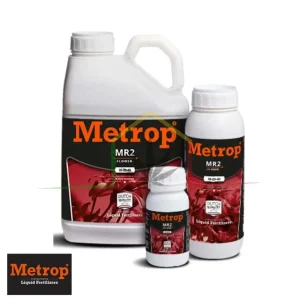 MR2 METROP