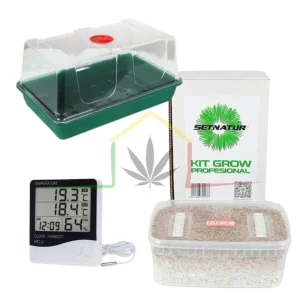 PACK KIT CULTIVO SETAS ALUCINÓGENAS ECONÓMICO