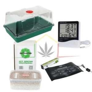 PACK KIT CULTIVO SETAS ALUCINÓGENAS PREMIUM