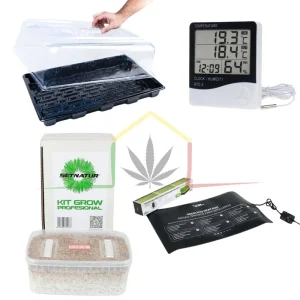 PACK KIT CULTIVO SETAS ALUCINÓGENAS PREMIUM XL