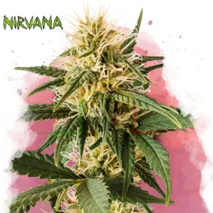 PURE POWER PLANT – PPP