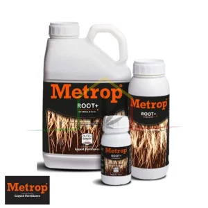 ROOT+ METROP