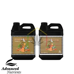 SENSI COCO BLOOM A+B