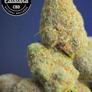 FLOR CBD SUSHI INDOOR