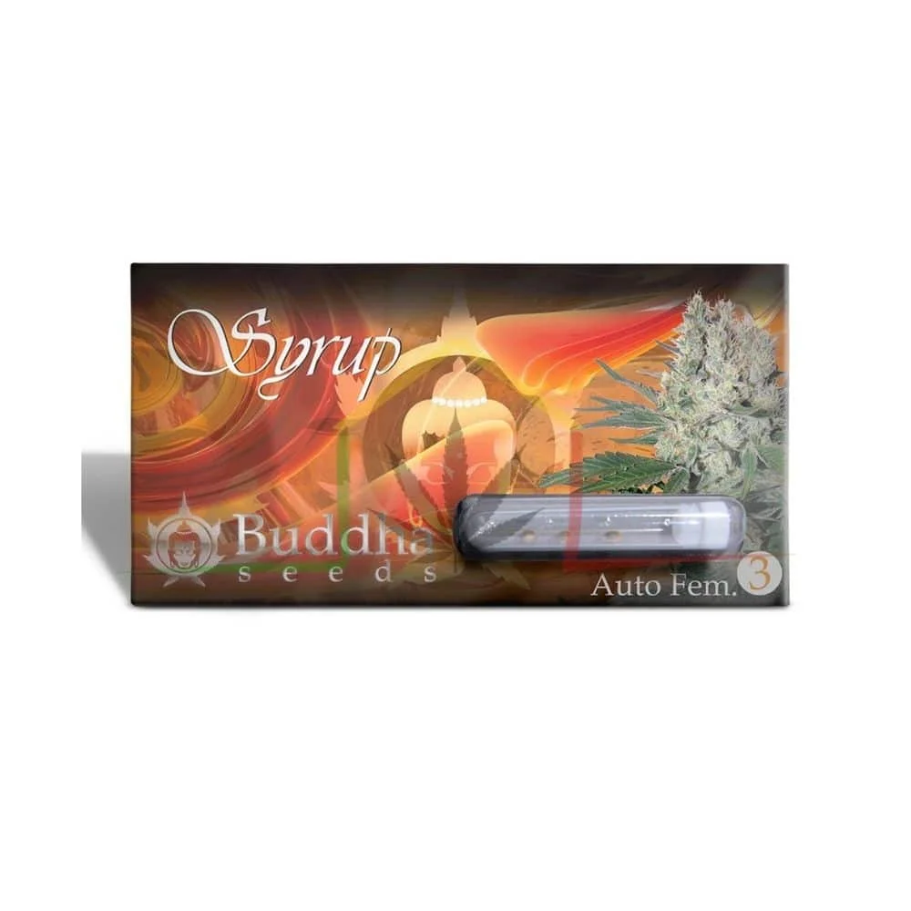 BUDDHA SYRUP AUTO - Imagen 3