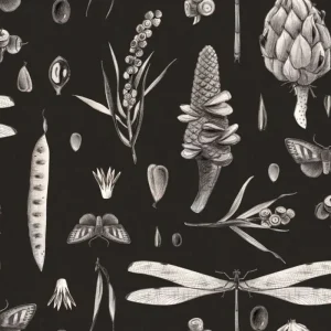 TELA SEMILLAS C/NEGRO – 100% ALGODÓN – 280CM