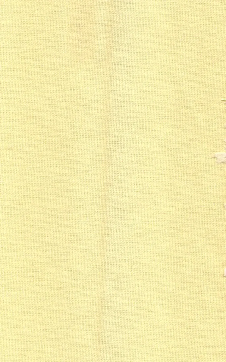 LONETA DOBLE CARA PRISMA C/19 AMARILLO VAINILLA CON TRATAMIENTO ANTIMANCHAS – 50% ALGODÓN 50% POLIÉSTER – 280 CM
