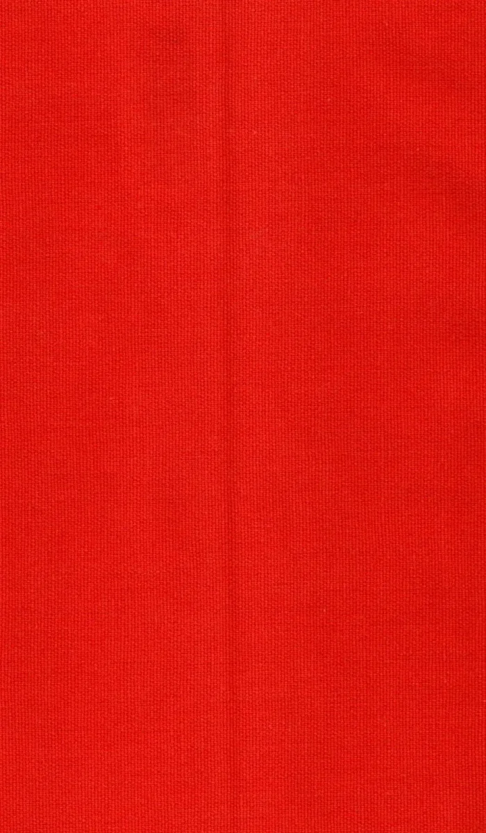 LONETA DOBLE CARA PRISMA C/39 CORAL CON TRATAMIENTO ANTIMANCHAS – 50% ALGODÓN 50% POLIÉSTER – 280 CM - Imagen 2