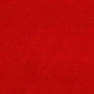 TELA NYLON 100% FINO PLASTIFICADO ROJO – ANCHO 160 CM