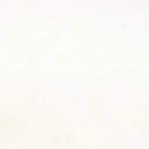 TELA NYLON 100% GRUESO PLASTIFICADO BLANCO – ANCHO 160 CM