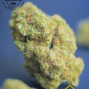 FLOR CBD TROPIC DIESEL