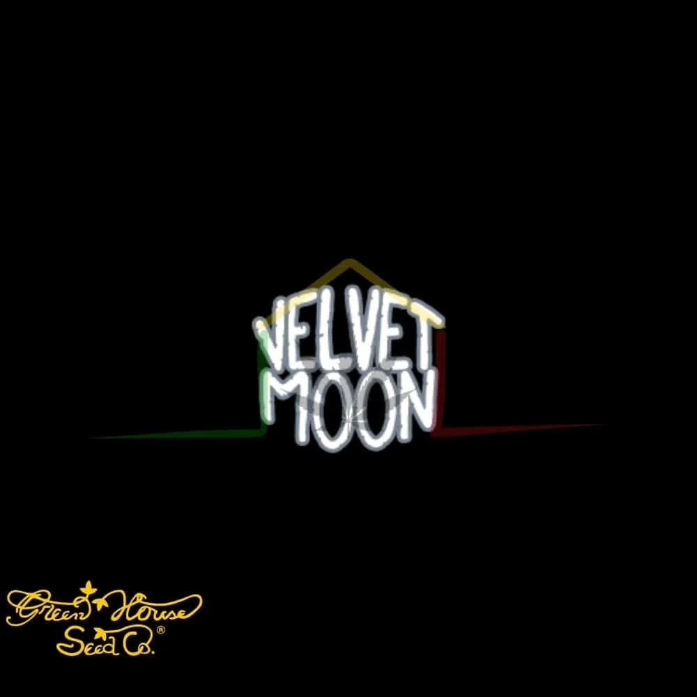 VELVET MOON - Imagen 3