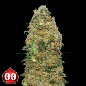 WHITE WIDOW