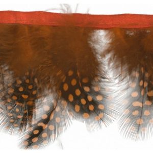 Correa de plumas
